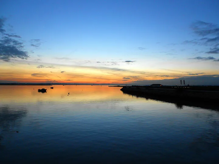 چرا ما آنچه را میخواهیم، میخواهیم: روانشناسی میل در برندسازی 3 0 7u1upidz1d6z3veT